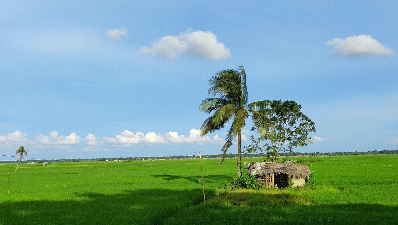 Resort Cottage