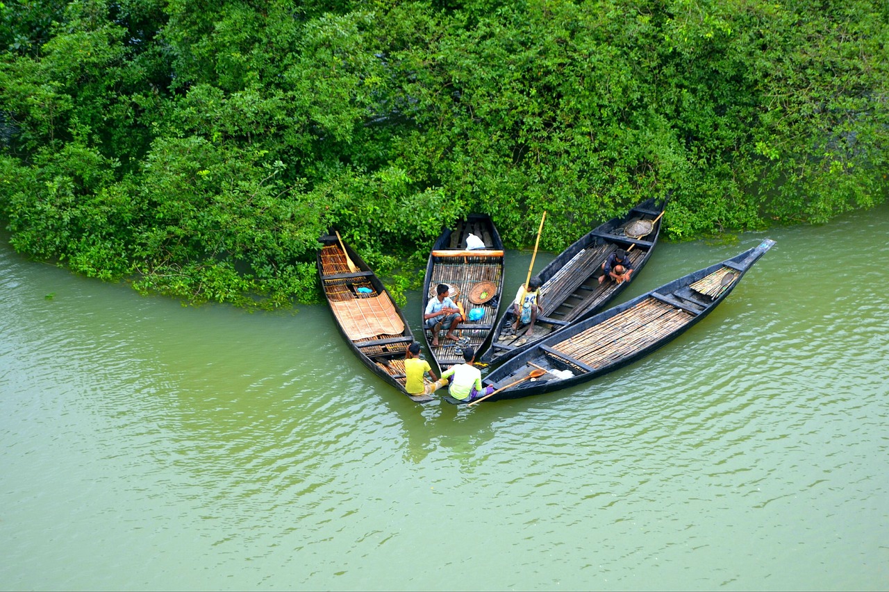 মাছ চাষ