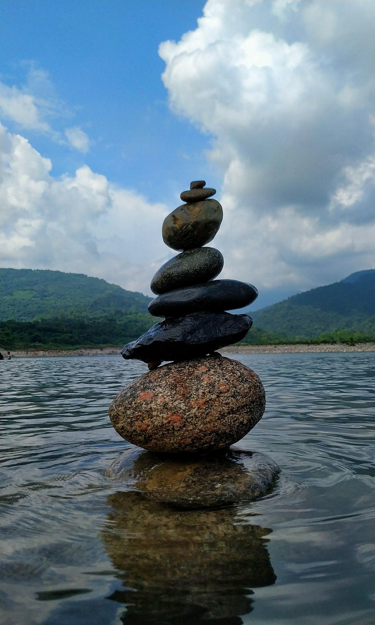 চা বাগান